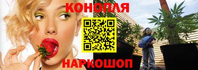 сатива Партизанск